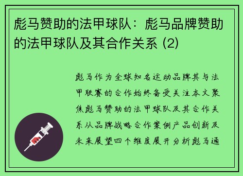 彪马赞助的法甲球队：彪马品牌赞助的法甲球队及其合作关系 (2)