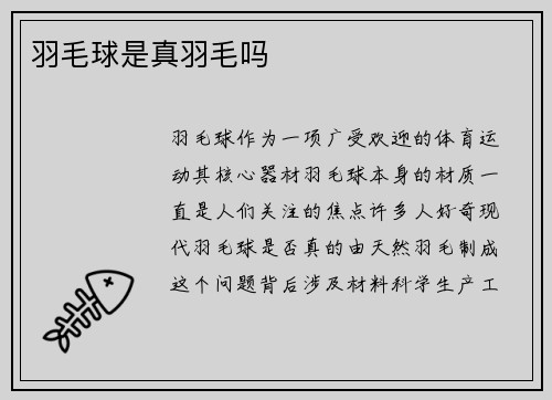 羽毛球是真羽毛吗